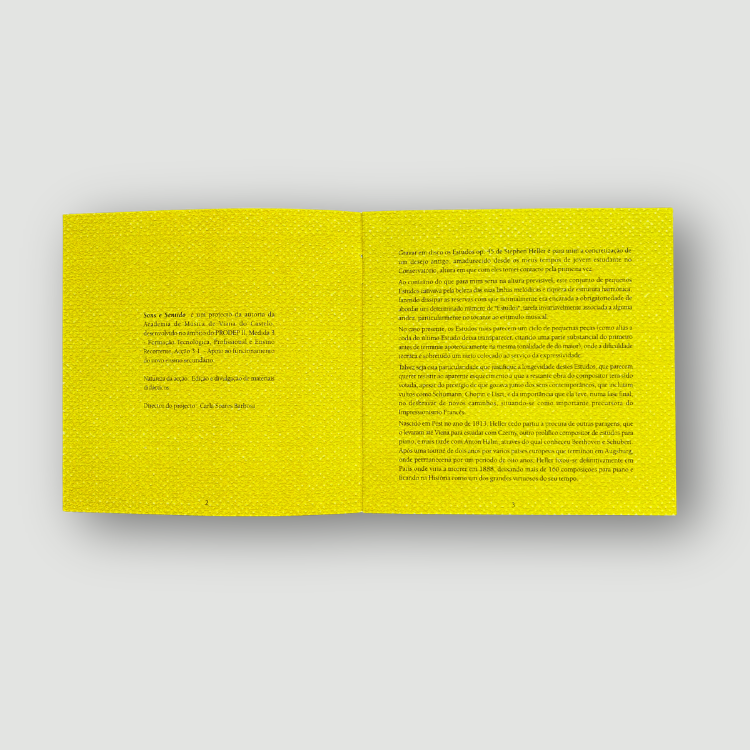 Luís Pipa - Stephen Heller - Image 4